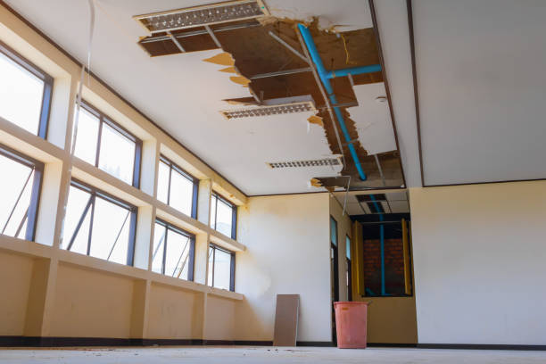 Best Flood restoration services  in Dawson Springs, KY