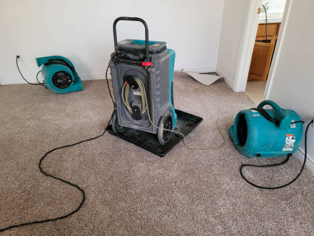 Best Water damage mitigation services  in Dawson Springs, KY