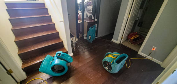 Best Flood damage cleanup  in Dawson Springs, KY