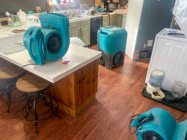 Local water damage restoration in Dawson Springs, KY