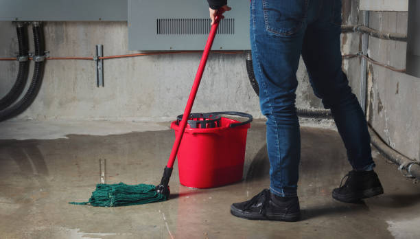 Best Water damage restoration experts  in Dawson Springs, KY