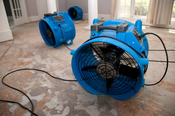 Best Ceiling water damage repair  in Dawson Springs, KY