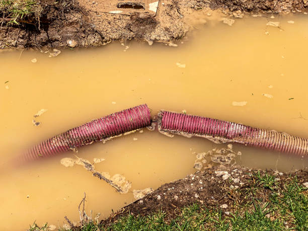 Trusted Dawson Springs, KY Water damage restoration Experts