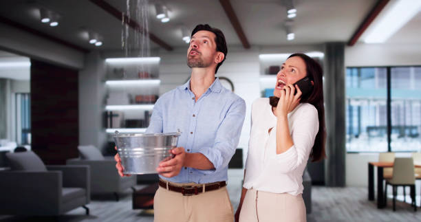 Best Fire Damage Restoration  in Dawson Springs, KY