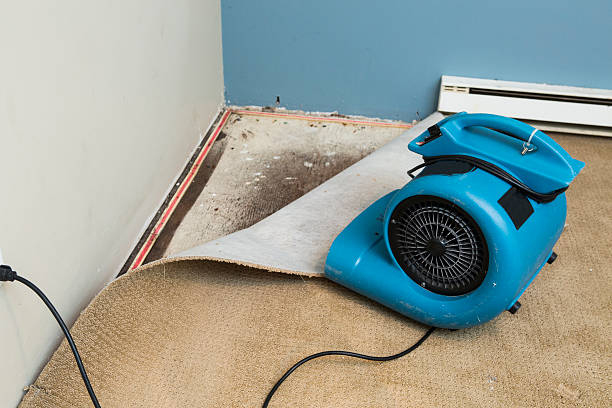 Water damage restoration process in Dawson Springs, KY